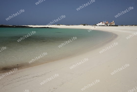 the Beach of  Los Lagos on the Island Fuerteventura on the Canary island of Spain in the Atlantic Ocean.