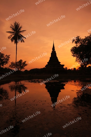 Ein Chedi beim Wat Mahathat Tempel in der Tempelanlage von Alt-Sukhothai in der Provinz Sukhothai im Norden von Thailand in Suedostasien.