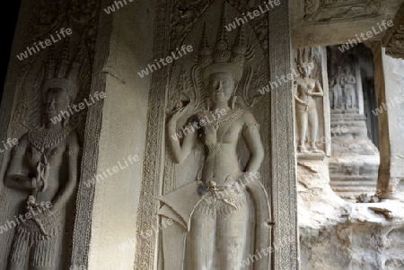 The Angkor Wat in the Temple City of Angkor near the City of Siem Riep in the west of Cambodia.