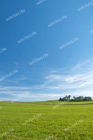 Wiese mit Acker bei blauem Himmel mit Schleierwolken