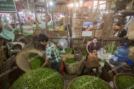 chili in a a fegetable market in a Market near the City of Yangon in Myanmar in Southeastasia.