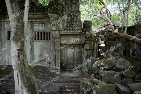 The Tempel Ruin of  Beng Mealea 32 Km north of in the Temple City of Angkor near the City of Siem Riep in the west of Cambodia.