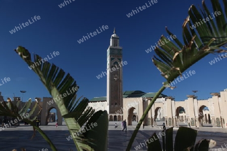 The Hassan 2 Mosque in the City of Casablanca in Morocco , North Africa.