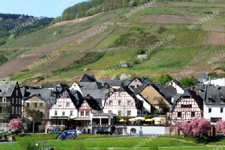 Reil an der Mosel