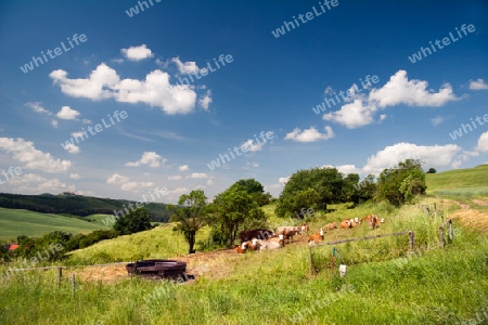 Sommerlandschaft Unterbodnitz