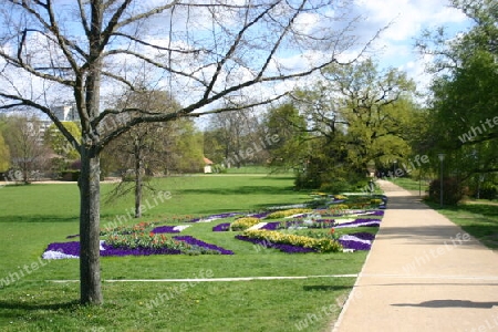 Die Freundschaftsinsel im Frühling