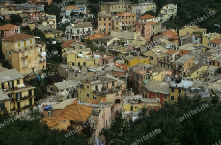 Cinque Terre