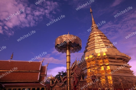 Der Chedi der Tempel Anlage des Wat Phra That Doi Suthep bei Chiang Mai in der Provinz Chiang Mai im Norden von Thailand in Suedostasien.