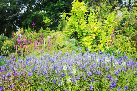 Botanischer Garten