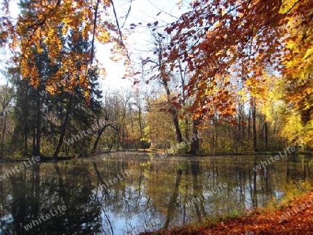 Herbst in Englischer Garten