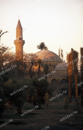 Die Moschee Chala Sultan Tekke am Salzsee in Larnaka im sueden von Zypern im Mittelmeer.