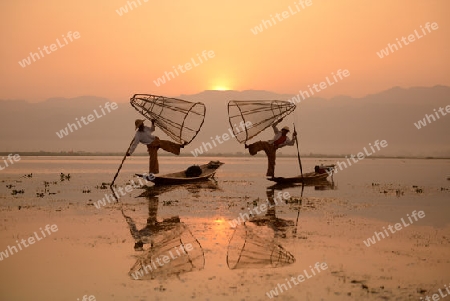 Fishermen at sunrise in the Landscape on the Inle Lake in the Shan State in the east of Myanmar in Southeastasia.