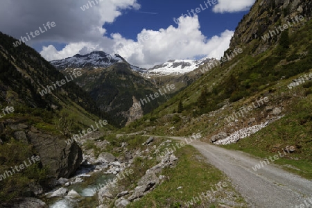 Hundskehltal, Zillertal, Oesterreich