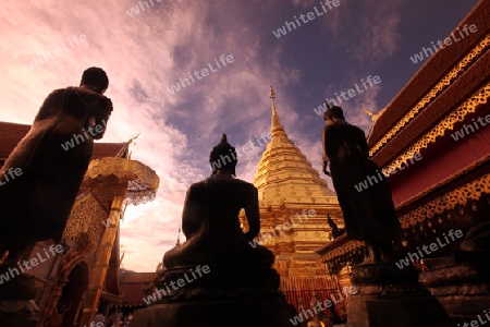 Der Chedi der Tempel Anlage des Wat Phra That Doi Suthep bei Chiang Mai in der Provinz Chiang Mai im Norden von Thailand in Suedostasien.