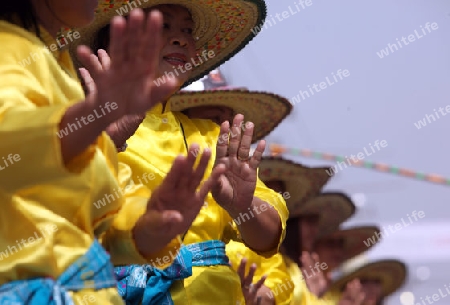 Eine traditionelle Tanz Gruppe zeigt sich an der Festparade beim Bun Bang Fai oder Rocket Festival in Yasothon im Isan im Nordosten von Thailand. 