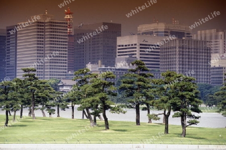 The  City centre at the Imperial Palace of Tokyo in Japan in Asia,



