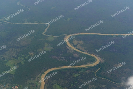 The Landscape with a ricefield near the City of Siem Riep in the west of Cambodia.