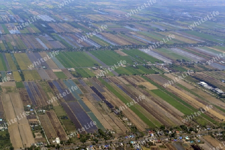 Die Landwirtschaft am rande der Stadt Bangkok in Thailand in Suedostasien.