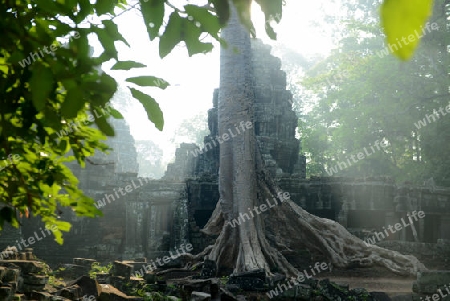 The Temple of  Banteay Kdei in the Temple City of Angkor near the City of Siem Riep in the west of Cambodia.