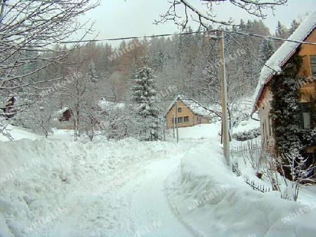 Winter in den Bergen