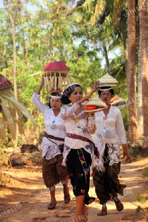 Asien, Suedost, Indonesien, Bali, Insel, Nusa Lembongan, Jungutbatu, Dorf, Zentrum, Fest, Zeremonie, Hindu, Festival, Religion,   (Urs Flueeler) 