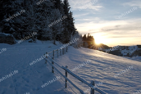 Winter auf dem Nieschberg