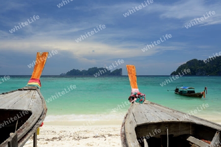 A Beach on the Island of Ko PhiPhi on Ko Phi Phi Island outside of the City of Krabi on the Andaman Sea in the south of Thailand. 