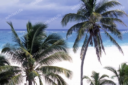 The Beach of Cancun in the Province Yucatan in the south of Mexico 