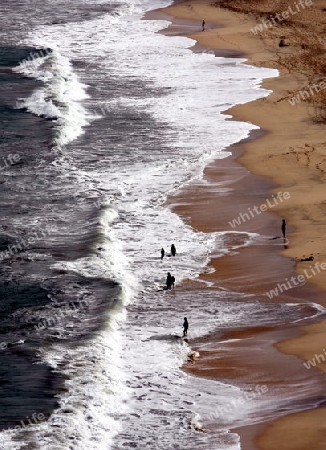 Suedamerika, Karibik, Venezuela, Isla Margarita, Pedro Gonzalez, Playa, Beach, Strand, Bucht, Ferien, Traumstrand, Idylle, Landschaft, Kaktus, Kueste, Baden, Touristen, Wellen,