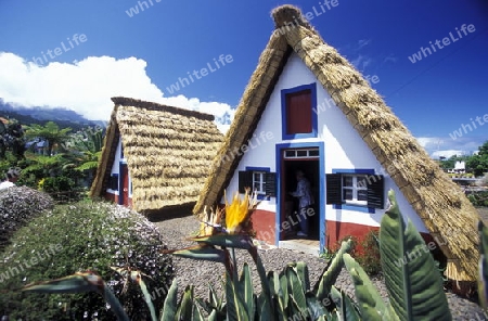 Zwei Traditionelle Santana Haeuser in Santana im Norden der Insel Madeira im Atlantischen Ozean, Portugal.