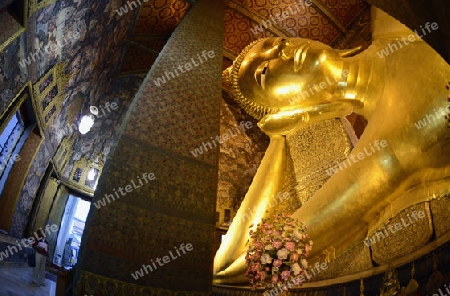 Der Liegende Buddha in der Tempelanlage des Wat Pho in der Hauptstadt Bangkok von Thailand in Suedostasien.