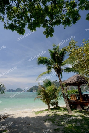 A Beach on the Island of Ko PhiPhi on Ko Phi Phi Island outside of the City of Krabi on the Andaman Sea in the south of Thailand. 