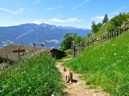 Berge in S?dtirol