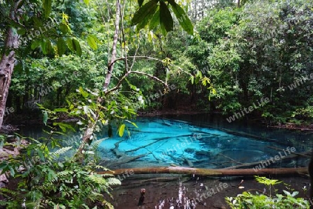 Gruene Oase - Blaue Quelle, Thailand