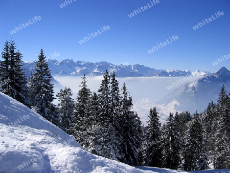 Winterpanorama