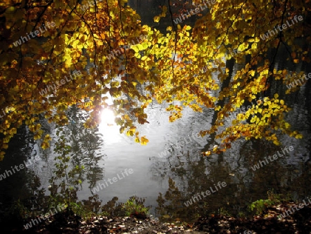 Wasser im Herbst