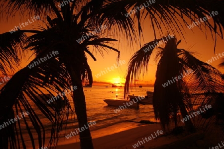 Suedamerika, Karibik, Venezuela, Los Roques, Insel, Atoll, Archipfel, Klima, Meer, Wetter, Reef, Dorfstrand, Dorfinsel, Fischerboot, Hafen, Abend, Strand, Beach, Sonnenuntergang, Palmen, Stimmung, Sonne,