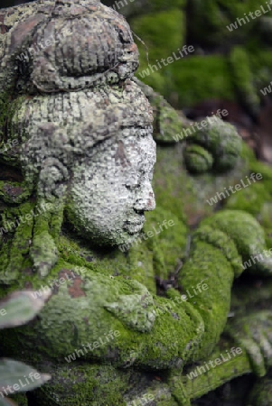 Traditionelle Figuren stehen im Garten von Ban Phor Linag Meuns Terracota Art zum Verkauf bereit dies im Terracota Garden in Chiang Mai im norden von Thailand in Suedostasien.