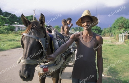 a Farmer near the city of Holguin on Cuba in the caribbean sea.