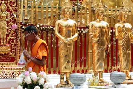 Die Architektur des Wat Phra That Doi Suthep Tempel in Chiang Mai im Norden von Thailand.