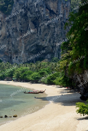 The Hat Tom Sai Beach at Railay near Ao Nang outside of the City of Krabi on the Andaman Sea in the south of Thailand. 