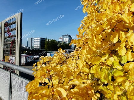 Herbst in der Stadt