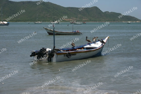 Boot, mit Pelikanen, in einem Hafen von Isla de Margarita