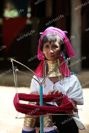 Eine Traditionell gekleidete Langhals Frau eines Paudang Stammes aus Burma lebt in einem Dorf noerdlich von Chiang Mai in Nord Thailand.