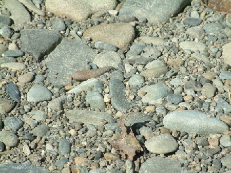 River Stones