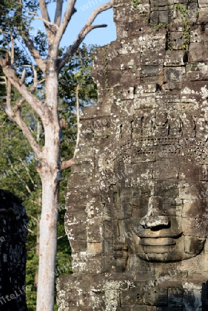 Stone Faces the Tempel Ruin of Angkor Thom in the Temple City of Angkor near the City of Siem Riep in the west of Cambodia.