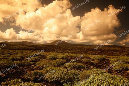 the landscape on the Island of Lanzarote on the Canary Islands of Spain in the Atlantic Ocean. on the Island of Lanzarote on the Canary Islands of Spain in the Atlantic Ocean.
