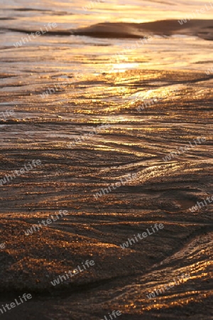 Nordsee ebbe Sylt Strand