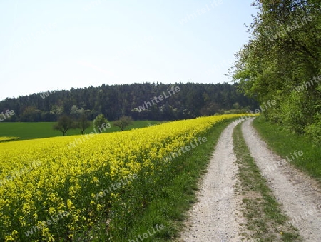 Feldweg