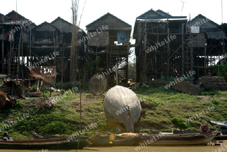 The Lake Village Kompong Pluk at the Lake Tonle Sap near the City of Siem Riep in the west of Cambodia.